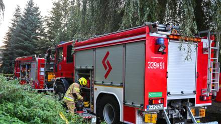 W studni w Skajbotach znaleziono ciało. Fot. PAP/	Art Service (zdjęcie ilustracyjne)