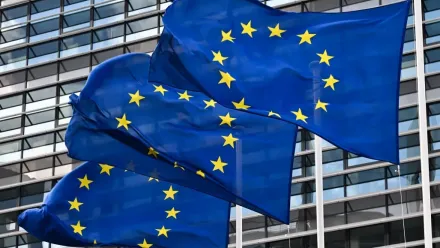 Flagi Unii Europejskiej Fot. PAP/Radek Pietruszka
