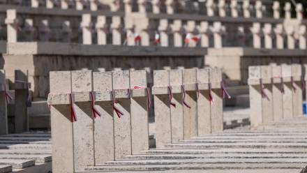Polski Cmentarz Wojenny pod Monte Cassino Fot. PAP/Albert Zawada
