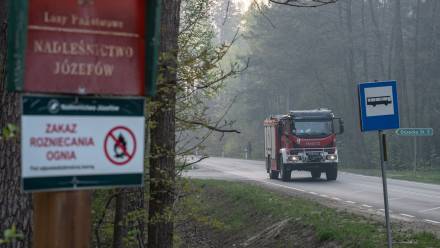 Do tragedii doszło podczas gaszenia pożaru lasu na Lubelszczyźnie Fot. PAP/Wojtek Jargiło
