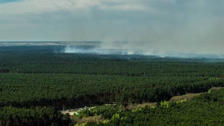 Dym unoszący się nad płonącym lasem w pow. biłgorajskim Fot. PAP/Wojtek Jargiło