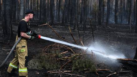 Działania ratowniczo-gaśnicze w kompleksie leśnym w miejscowości Osuchy Fot. PAP/Wojtek Jargiło