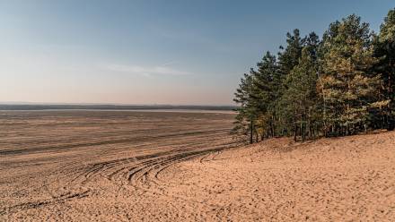 Pustynia Błędowska. Fot. Franciszek/Adobe Stock