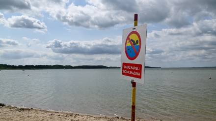 Zakwit sinic, zamknięte kąpielisko. Fot. PAP/Marcin Bielecki