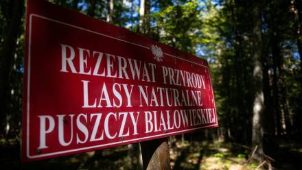 UNESCO doceniło działania Polski. Fot. PAP/	Michał Zieliński