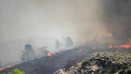 Rząd Andaluzji poinformował, że 23 osoby wciąż są poszukiwane, a osiem odniosło obrażenia. Fot. PAP/EPA/	CARLOS BARBA