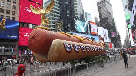 „Hot Dog: The Second Serving”. Fot. PAP/EPA/SARAH YENESEL