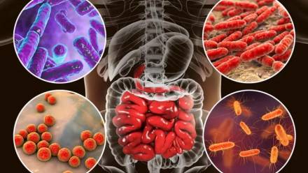 Fot. Adobe Stock