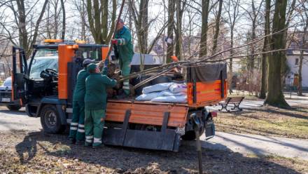 Fot. G. Ozga UM w Gliwicach