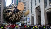 Tradycja ustawiania choinki w Rockefeller Center sięga roku 1931 roku. Fot. PAP/EPA/	SARAH YENESEL. Fot. PAP/EPA/	JULIUS CONSTANTINE MOTAL