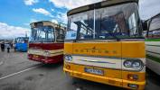 II Zlot Zabytkowych Autobusów w Rzeszowie. Fot. PAP/Darek Delmanowicz