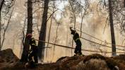 Pożar lasu w Fontainebleau. Fot. PAP/EPA/GAUTHIER BEDRIGNANS