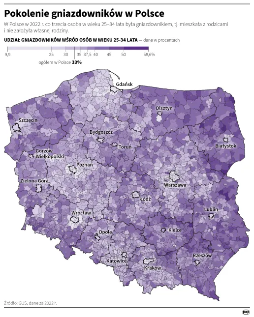 Pokolenie gniazdowników w Polsce Autor: Maciej Zieliński